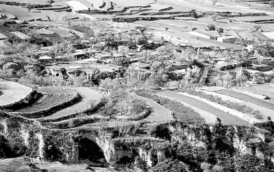 探寻生态与经济的平衡点