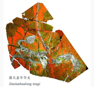 世界首张恐龙彩照写真在大连生成