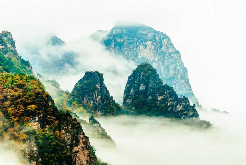 图1 800彩票-北京雾之山-张尉.jpg